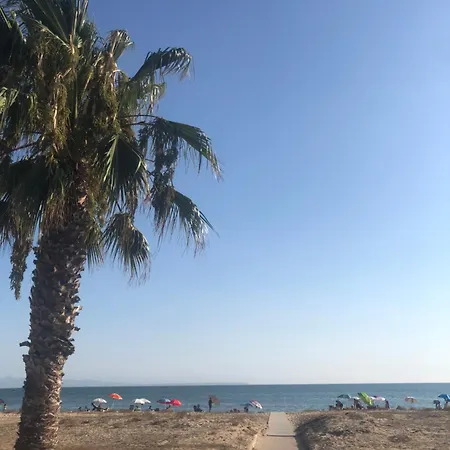 Il Carrubo